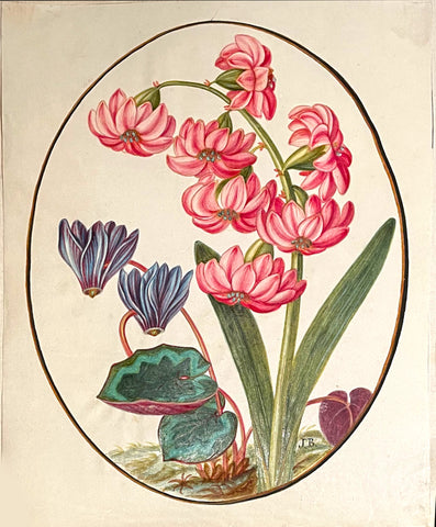 James Bolton (British, 1735-1799), Double Carnation Hyacinth & Violet Coloured Cyclamen