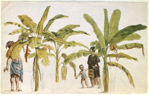 Jan Brandes (Dutch, 1743-1808), Indonesian Man, Woman, and Child, with Banana Trees, Java