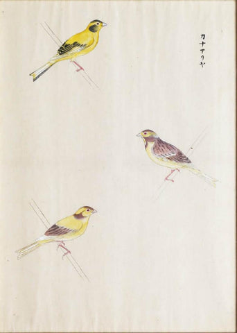 Chinese School, Three Yellow Birds