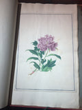 CHINESE SCHOOL (18TH-CENTURY), A Fine Album of Botanical Watercolors 18th-century