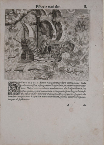 Theodore de Bry (1528-1598), after John White (c. 1540-1593), Pifces in mari alati. II