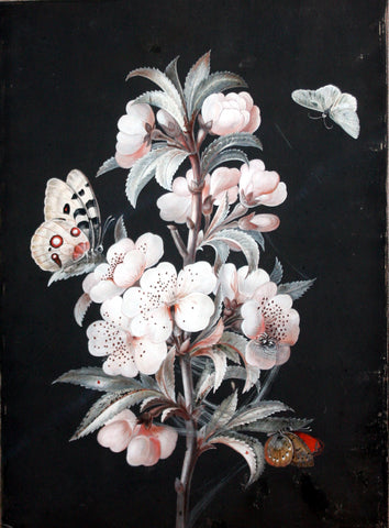 Barbara Regina Dietzsch (German, 1706-1783), Bouquet with Butterflies