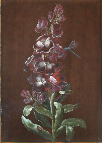 Barbara Regina Dietzsch (German, 1706-1783), Flower Study with Dragonfly