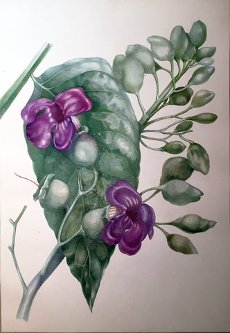 Charles Empson (British, 1794-1861), Untitled (Purple Flowers)