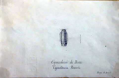 Christophe Paulin de la Poix de Fremenville (1747-1848), Cymodocee de Bose Baye de Brest France
