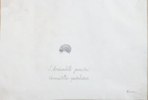 Christophe Paulin de la Poix de Fremenville (1747-1848), l’Armadille ponctue France