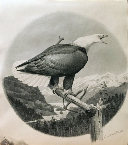Louis Agassiz Fuertes (American, 1874 - 1927), Eagle Perched on a Branch