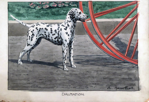 LOUIS AGASSIZ FUERTES (AMERICAN, 1874-1927) “Dalmatian, or Coach Dog”