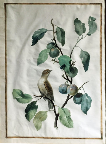 Jean Gonichon (French, FL. 1775-1795), [Bird and Fruiting Tree]