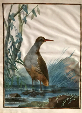 Jean Gonichon (French, FL. 1775-1795), [Wading Bird]