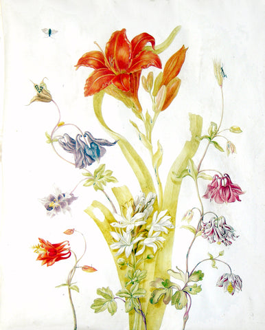 Johanna Helena Herolt (German, 1668-1723), Daylily, lesser St. Bernard’s Lily, and Three Columbines