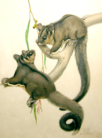 Richard Philip Grossenheider (American, 1911 - 1975) Two Squirrels