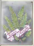 Ellen Harding (British 1809-1893), Fern Album Containing, A Few of the Rarest, Commonest, and Prettiest, of the British and Foreign Ferns