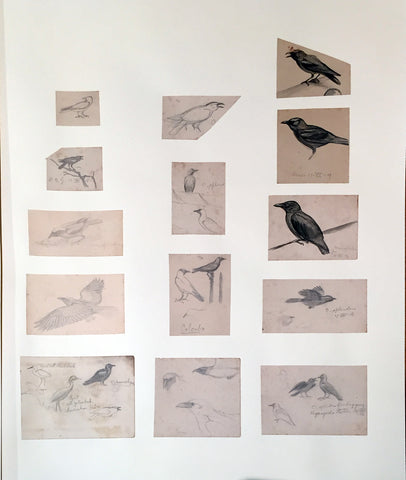 George Morrison Reid Henry, (British,1891-1983), Collected field studies of birds...
