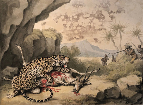 Samuel Howitt (British, 1765-1822) Shooting a Leopard