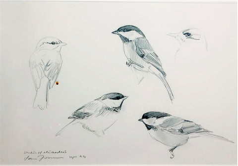 Lars Jonsson (Swedish, b. 1952), Studies of Young Chickadees