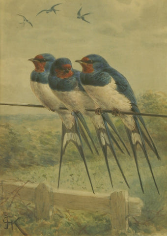 Johannes Gerardus Keulemans (Dutch, 1842-1912), Three Swallows