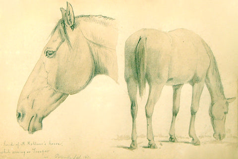Augustus Kollner (German, b.1813) Head of Kollner’s Horse