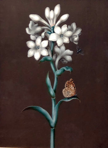 Ernst Friedrich Carl Lang (german, 1748-1782), Tuberose