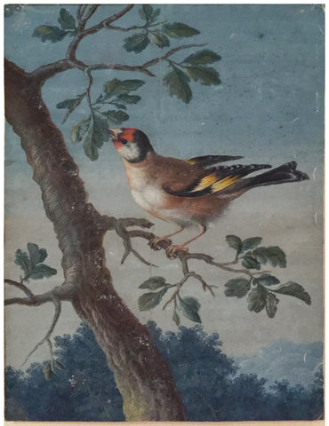 Attributed to Barbara Regina Dietzsch (German, 1706-1783), Margaretha-Barbara Dietzsch (German, 1716-1795), Ernst Friedrich Carl Lang (German, 1748-1782), Goldfinch