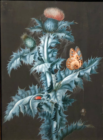 Ernst Friedrich Carl Lang (German, 1748-1782), Thistle with nasturtium butterfly, and spider