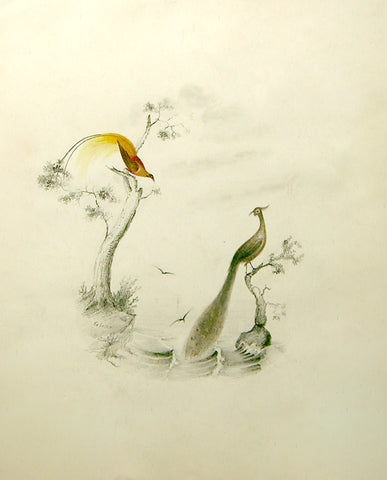 Edward Lear (British, 1812-1888), Two Peacocks