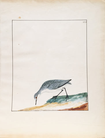 William Lewin (British, 1747-1795), Plate 183