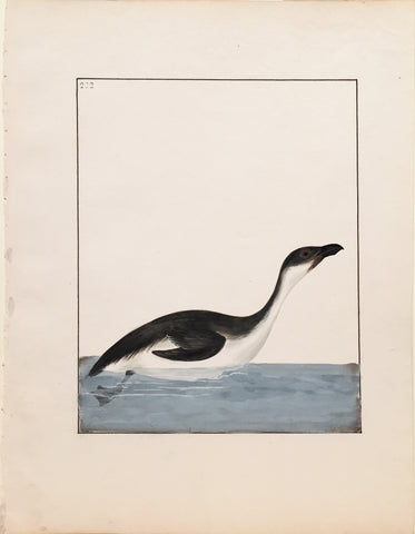William Lewin (British, 1747-1795), Plate 222