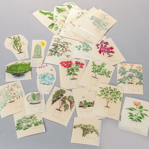 Harry Marinsky (American, 1909-2008), Original watercolors of plants prepared for The Woman’s Day Book of House Plants