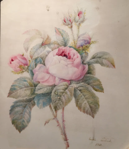 Anna-Ernestine Panckoucke (French, 1784-1860), A Spray of Roses