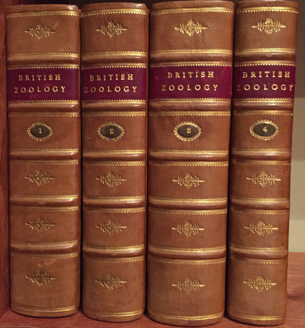 Thomas Pennant (British, 1726-1798), The British Zoology