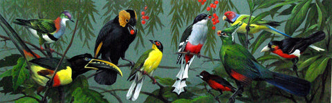 Roger Tory Peterson (American, 1908-1996), Tropical Birds...