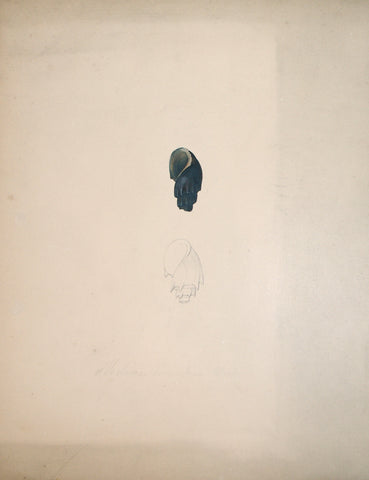 Jean-Gabriel Pretre (fl. 1824-1840) Shell Study 15