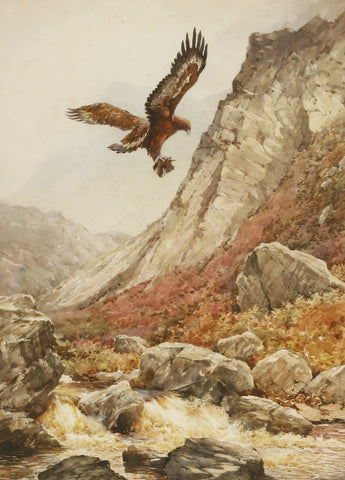 Andrew Scott Rankin (British, b.1968), Golden Eagle Alighting with Grouse
