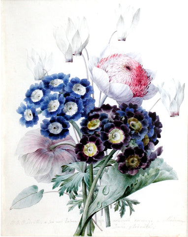 Pierre-Joseph Redouté (Belgian, 1759-1840), “Peonies, cyclamen and auriculas”