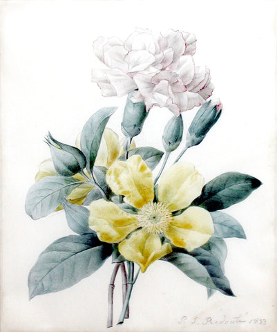 Pierre-Joseph Redouté (Belgian, 1759-1840), Yellow rose and carnation