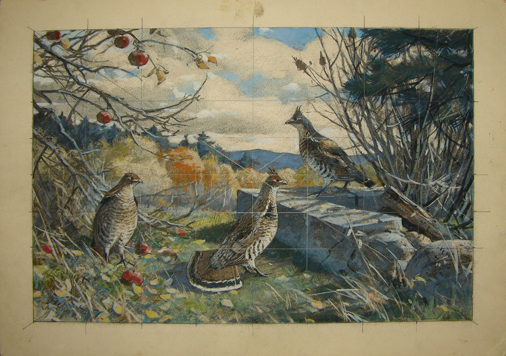 Aiden Lassell Ripley (American, 1896-1969), View with Ruffled Grouse –  Arader Galleries