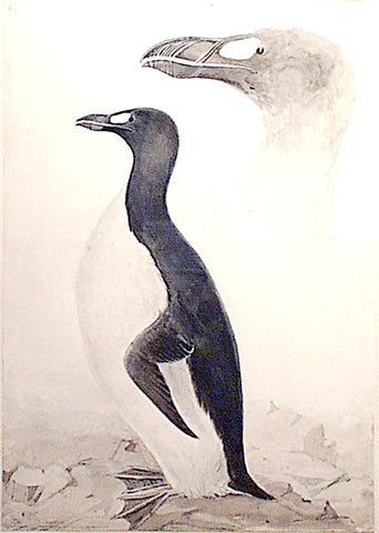 Edward Lear (British, 1812-1888) & Prideaux John Selby (British, 1788-1867), “Great Auk”