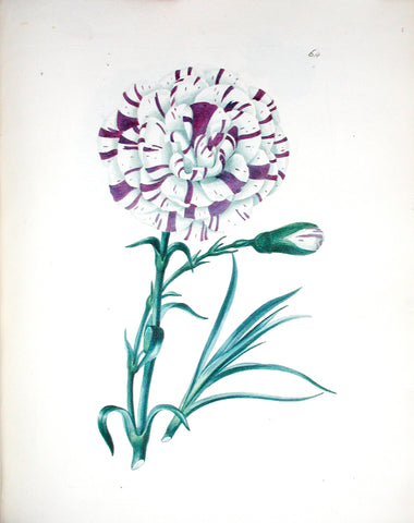 Edward Dalton Smith (British, 1800-1866), Plate 64