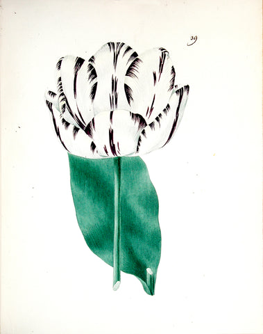 Edward Dalton Smith (British, 1800-1866), Plate 39