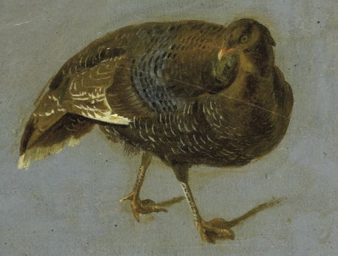 Hendrik Stokvisch (Belgian, 1768-1823), A Partridge