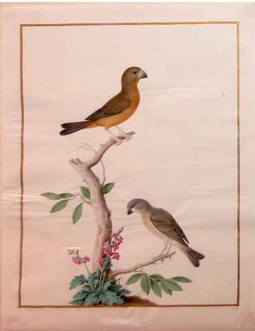 Style of Nicolas Robert (French, 1614-1685), Weaver and Sparrow