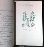 William Sutcliffe, (19th-century) A Collection of English Plants, Drawn and Colored by William Sutcliffe.