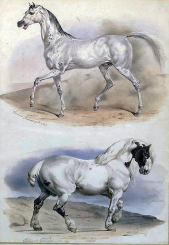 Edouard Travies (French, 1809 - 1870) An Arab Stallion and a Carthorse