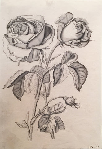 Christian Van Pesch (Belgian, 1728-1784), Double Rose