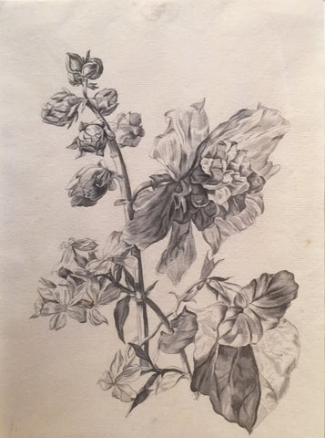 Christian Van Pesch (Belgian, 1728-1784), Hyacinth and Rose
