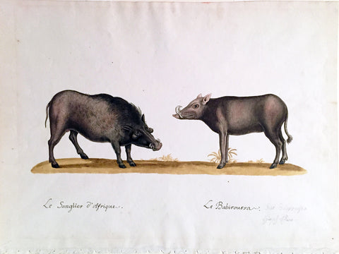 Franz Anton Von Schiedel (Austrian, 1731-1801) Le Sanglier d’Afrique Le Babiroussa (Warthog)