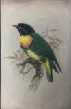 Joseph Wolf  (1820-1899), Joseph Smit (1836-1929), Johannes Geradus Keulemans (1842-1912) and Marie-Firmin Bocourt (b. 1819).  A collection of 44 watercolors of Birds and Animals