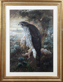 Joseph Wolf (German, 1820-1899), European Goshawk