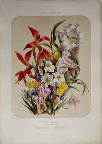Auguste Faguet (1841-1886), Elisa Champin (1807-1871), Album Vilmorin - No 10 - 1868